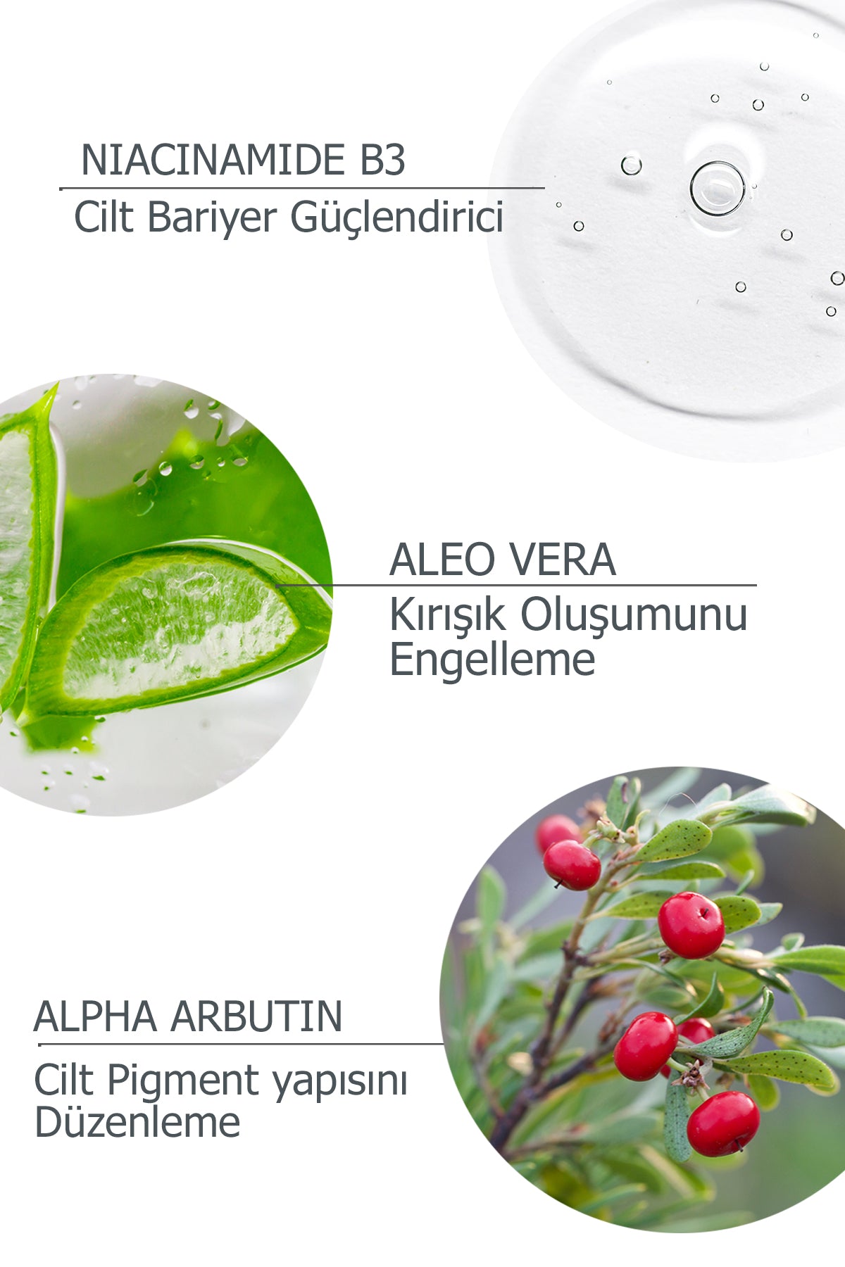 Brightening Krem 50 ml (Alpha- Arbutin + Niacinamide B3 + Aloe Vera + Panthenol)